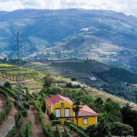 Villa Quinta Nova Mesão Frio
