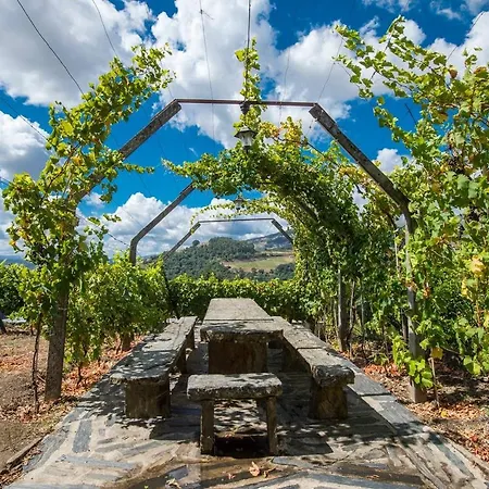 Villa Quinta Nova Mesão Frio